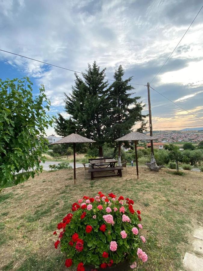 Despoina Meletiadou Nea Roda Dış mekan fotoğraf